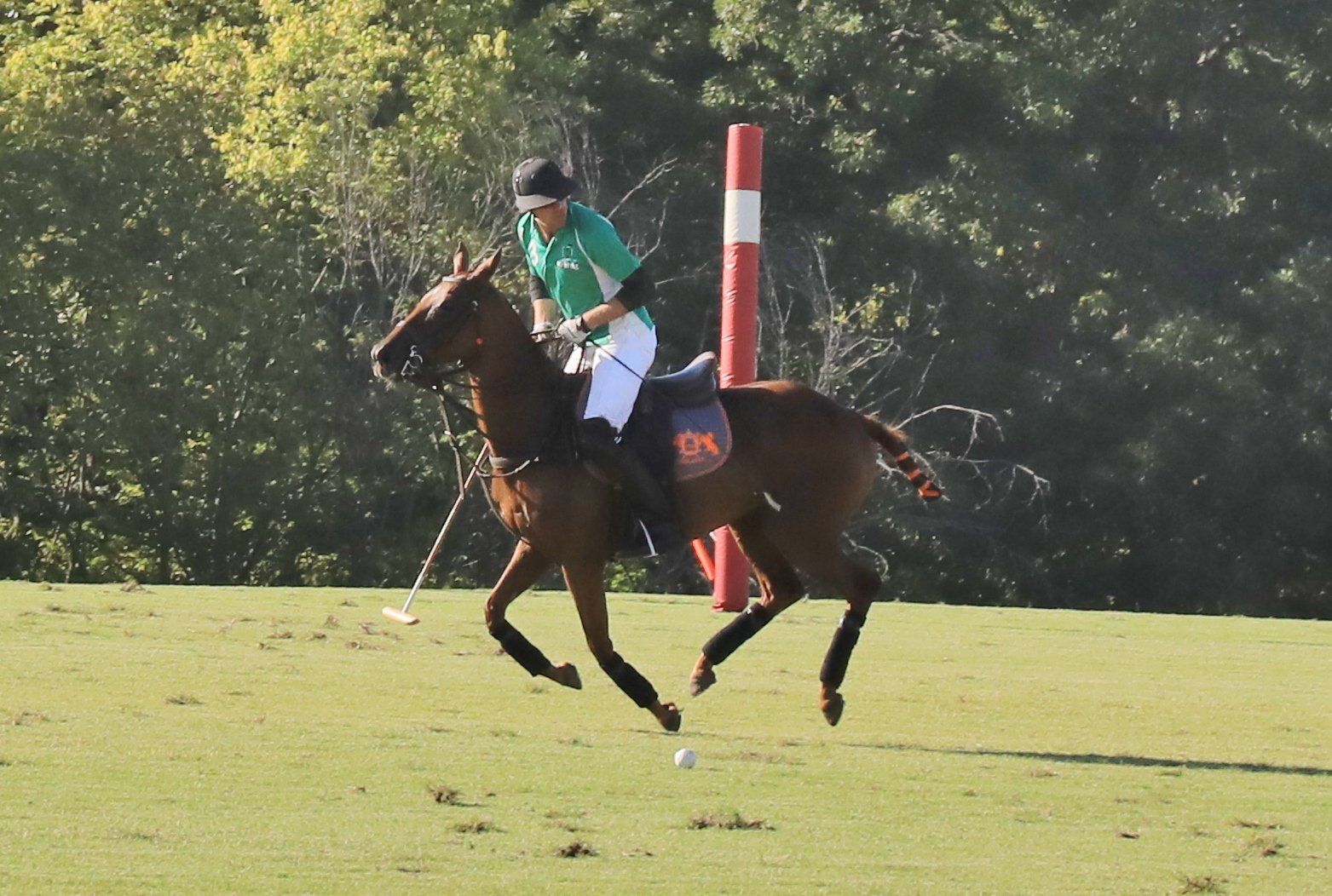 2018-Glennon-Gallop-052.JPG